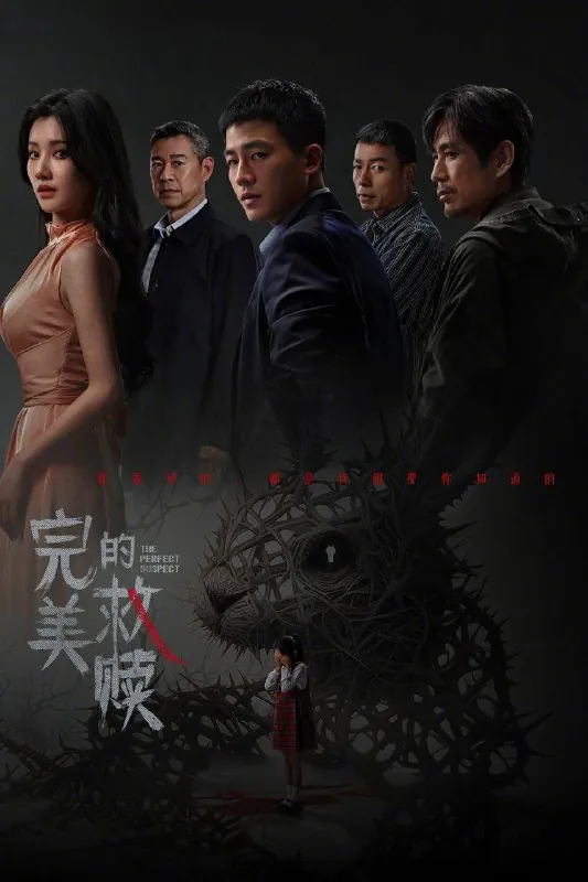 完美的救赎（2025）IQ4K内封简中更至EP06