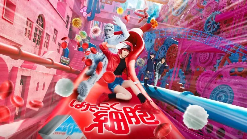 工作细胞（2024）