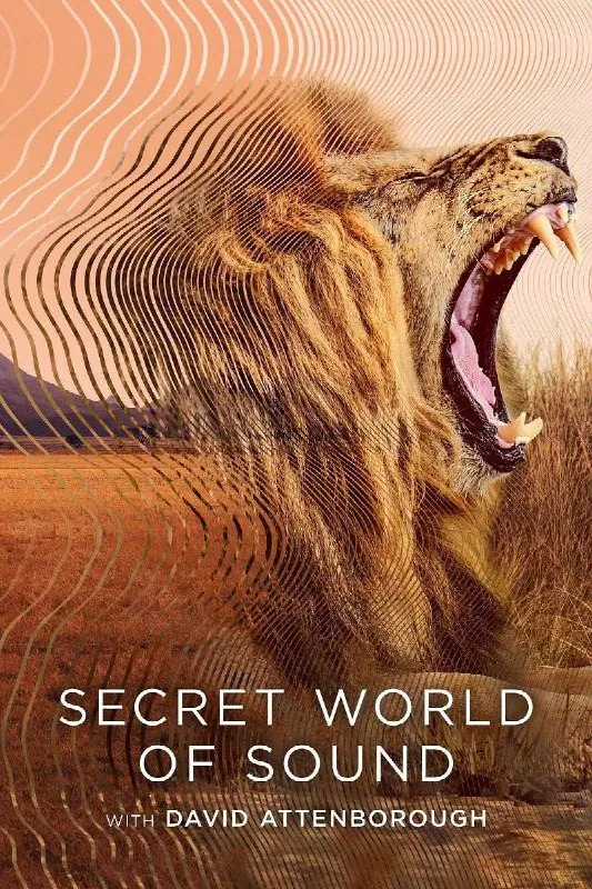 大卫·艾登堡：大自然的声音SecretWorldofSoundwithDavidAttenborough（2024）