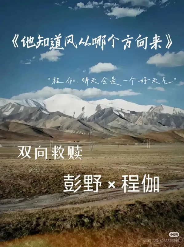 他知道风从哪个方向来