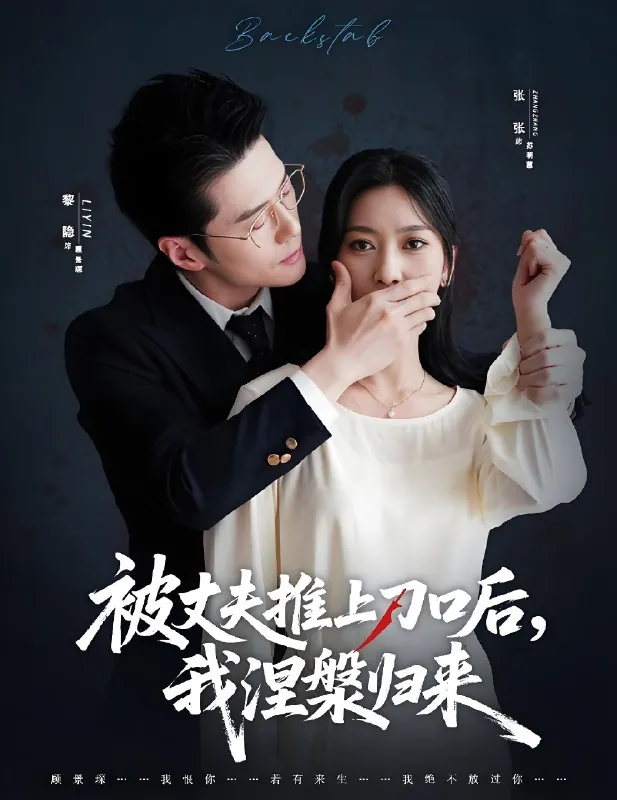 复婚抱歉我只谈判不谈情&被丈夫推上刀口后我涅槃归来