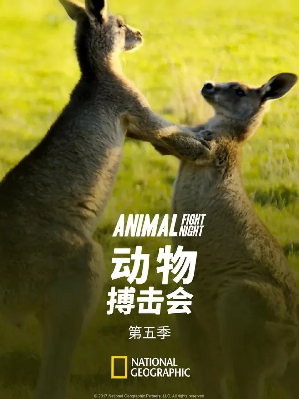动物搏击会第五季AnimalFightNightSeason5（2017）