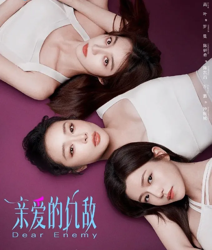 亲爱的仇敌（2025）4K.更至24集完结