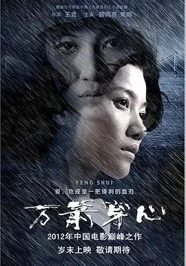 万箭穿心（2012）4K 电影