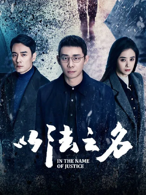 以法之名（2025）4K.更新至6集