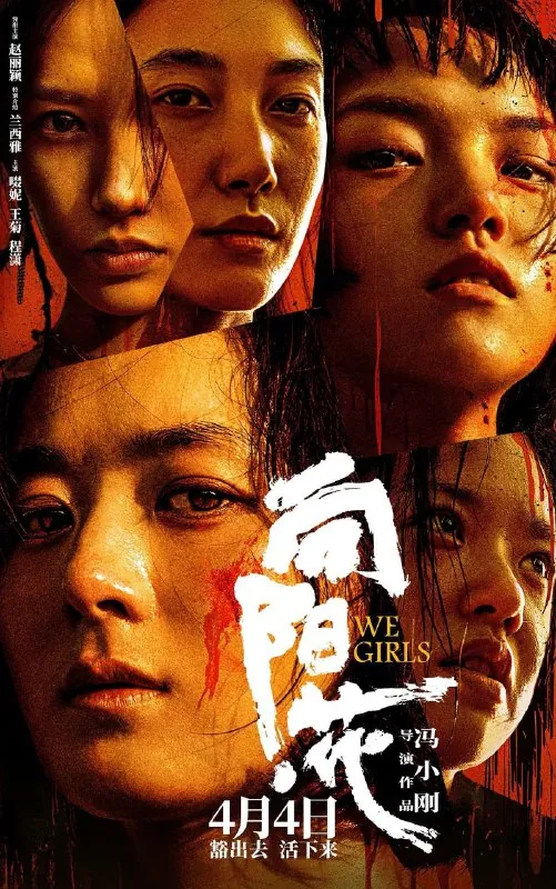 向阳花/向阳·花（2025）