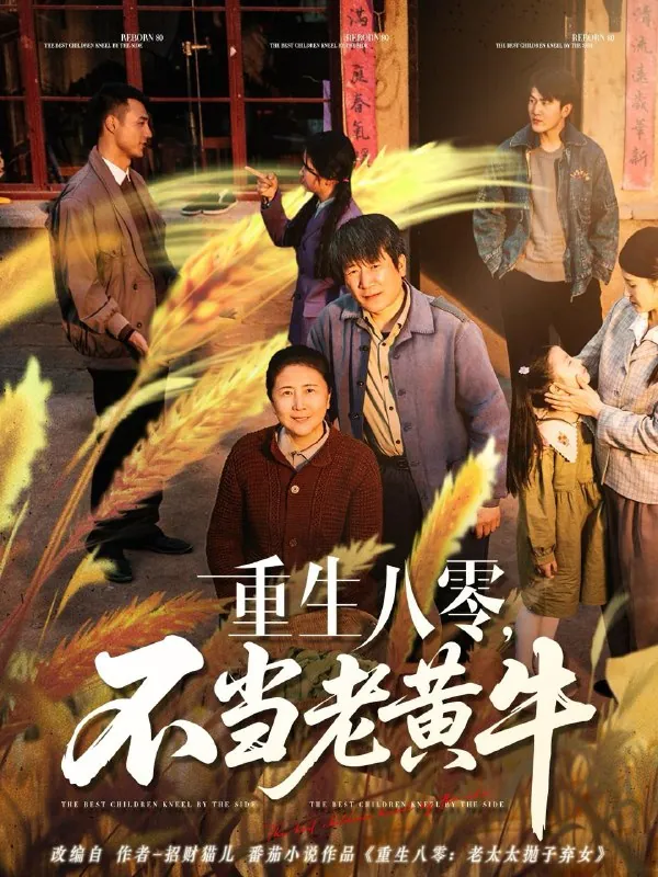 2025年5月16日合集目录6/最新短剧