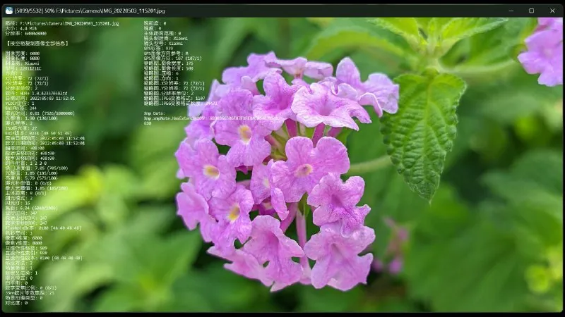 JarkViewer-高效便捷多格式图片查看器