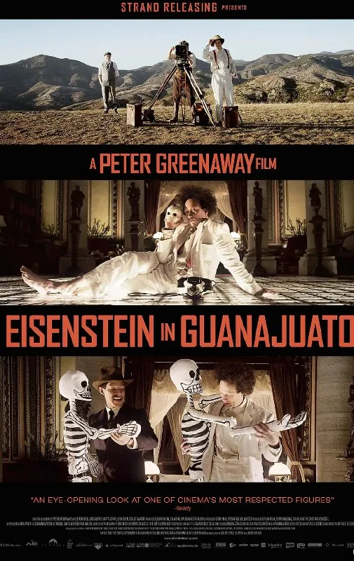 爱森斯坦在瓜纳华托