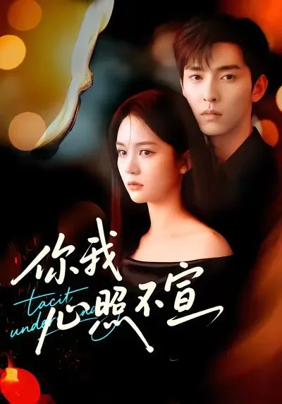 你我心照不宣（75集）