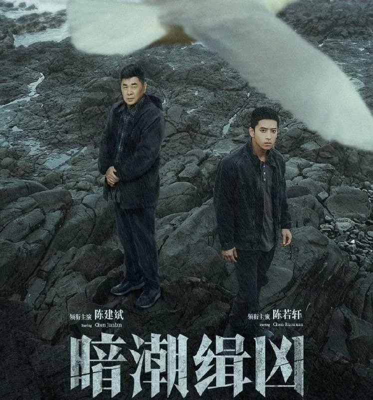 暗潮缉凶（2025）更至12集[4K][剧情犯罪][陈建斌陈若轩]