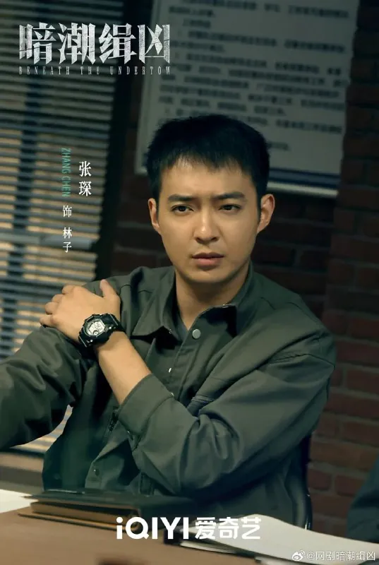 暗潮缉凶（2025）【1-19集全】【悬疑/犯罪】【共179GB】