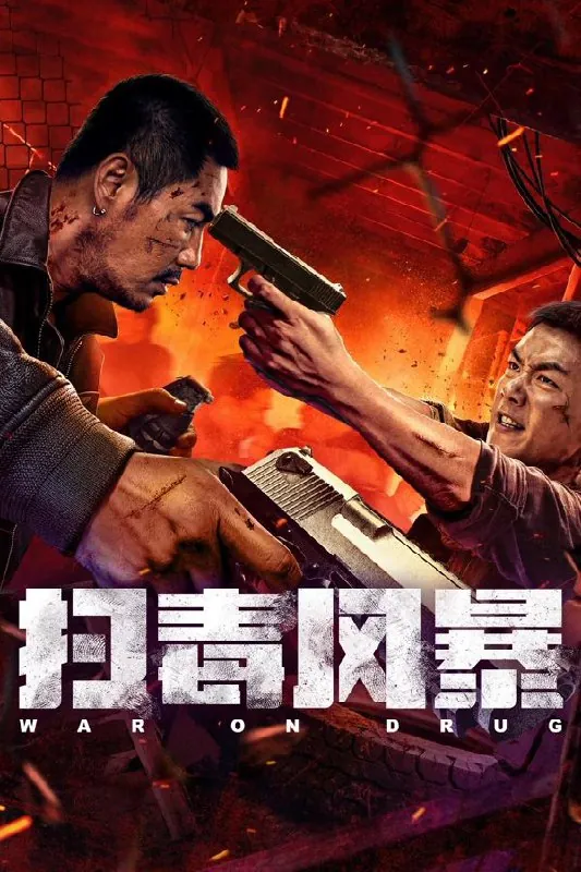 扫毒风暴（2025）4K国语中字
