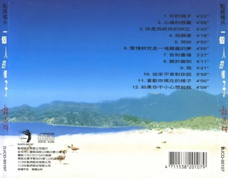 林志炫-一个人的样子
