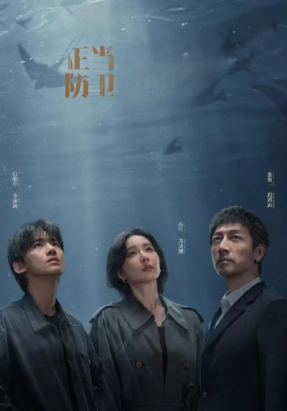正当防卫（2025）更至09集