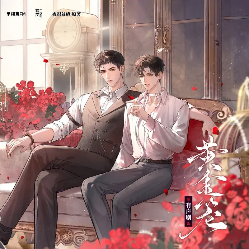 《黄金笼》广播剧+小说