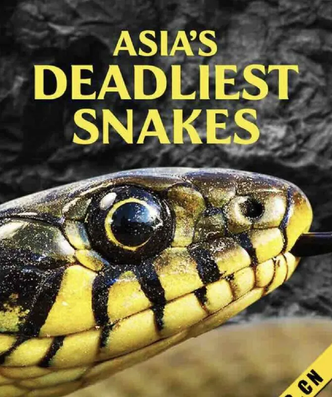 亚洲毒蛇之最