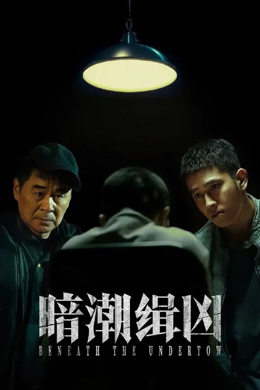 暗潮缉凶全19集[2025]