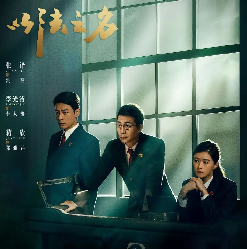以法之名（2025）更至32集4K高码已刮削